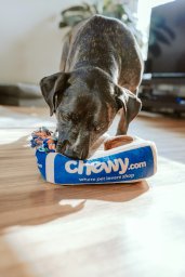 Ração Premium Cães Adultos